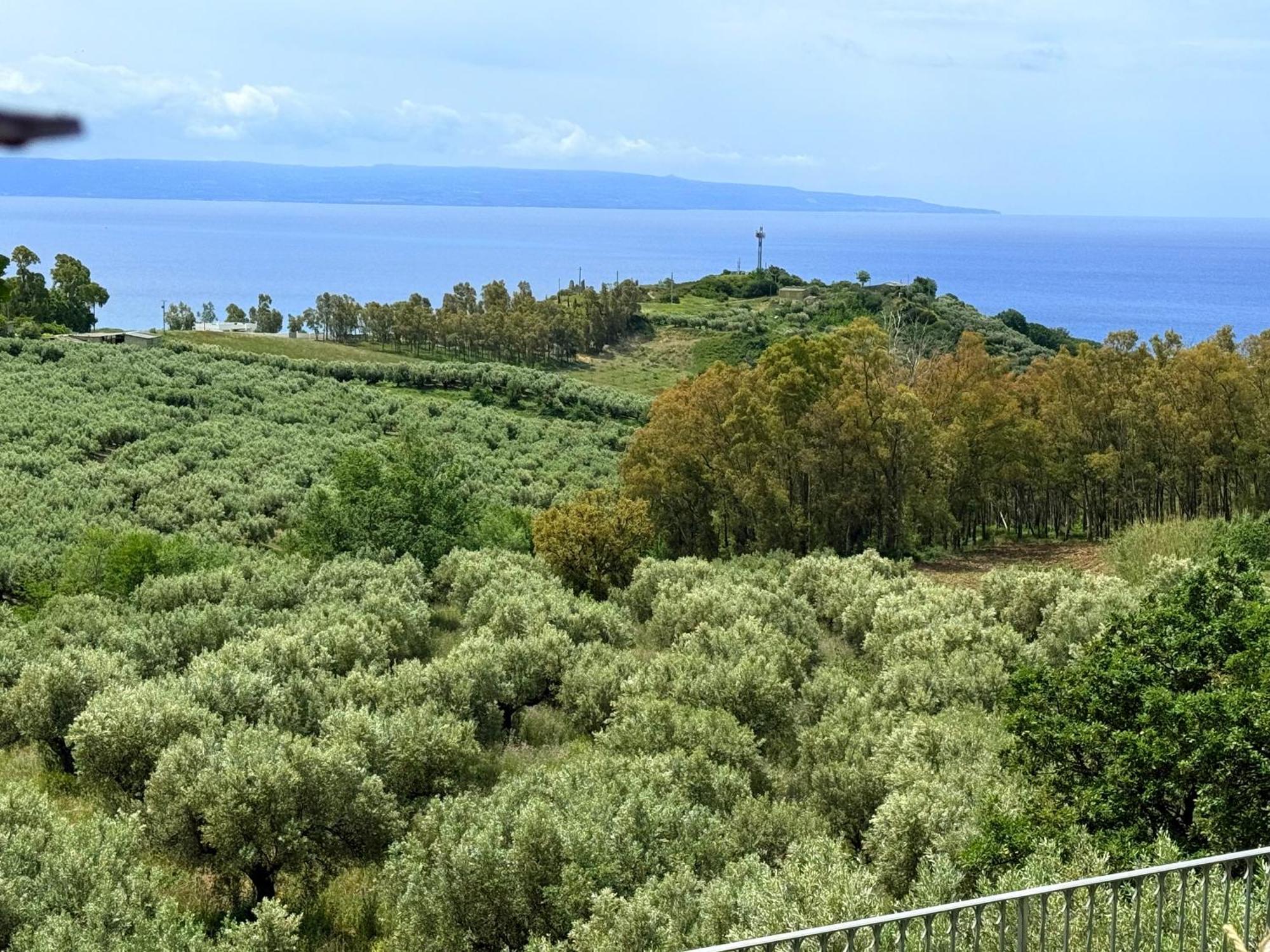 Casale Calabria Bed & Breakfast จิซเซเรีย ภายนอก รูปภาพ